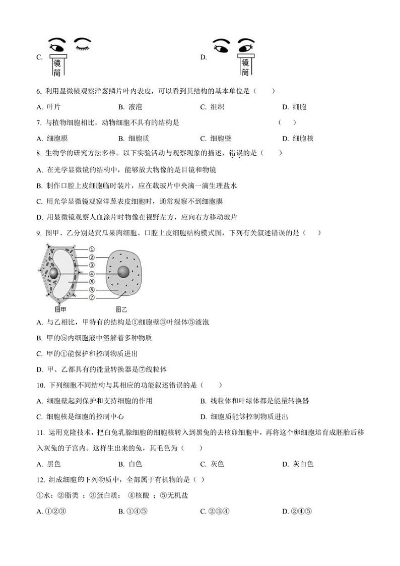 河北省邢台市多校2024～2025学年七年级(上)期中生物试卷(含答案)第2页