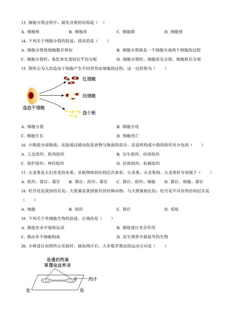 河北省邢台市多校2024～2025学年七年级(上)期中生物试卷(含答案)第3页