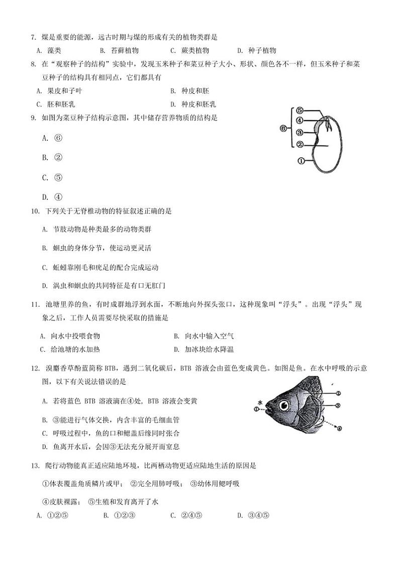 吉林省长春市力旺实验初级中学2024～2025学年七年级(上)期中生物试卷(含答案)第2页