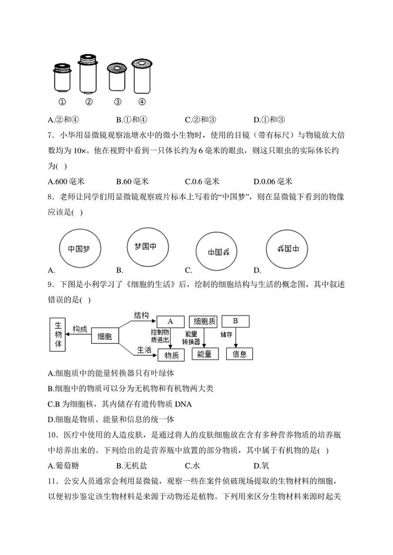 山西省太原市晋源区实验中学校2024～2025学年七年级(上)10月月考生物试卷(含答案)第2页