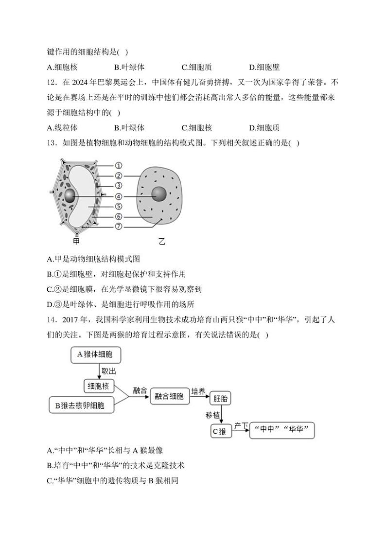 山西省太原市晋源区实验中学校2024～2025学年七年级(上)10月月考生物试卷(含答案)第3页