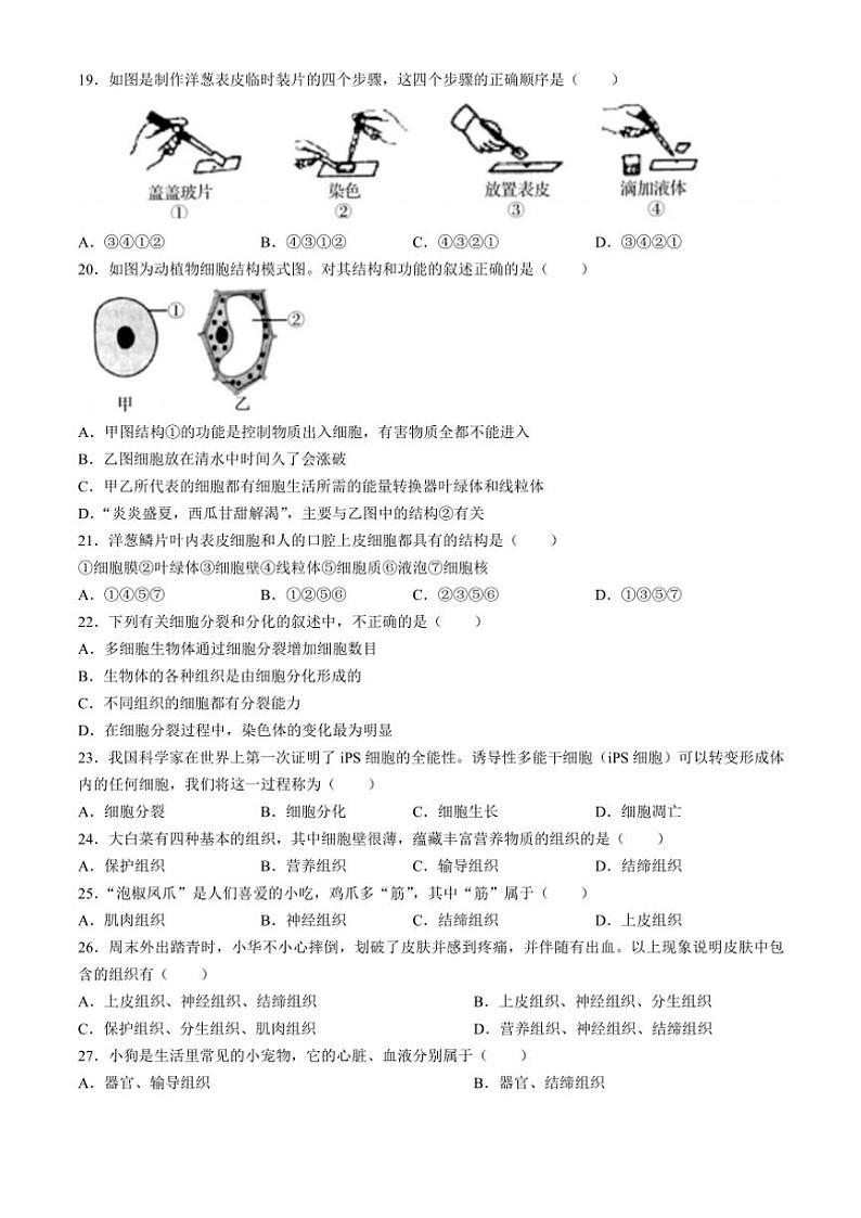 广东省梅州市大埔县2024～2025学年七年级(上)期中生物试卷(含答案)第3页