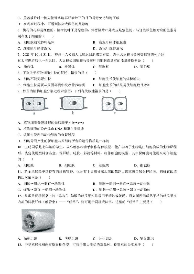 贵州省黔南州长顺县2024～2025学年七年级(上)期中生物试卷(含答案)第2页
