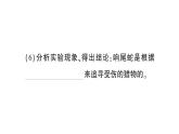 初中生物新北师大版七年级上册第1单元第1章第3节 生物学研究的基本方法作业课件2024秋