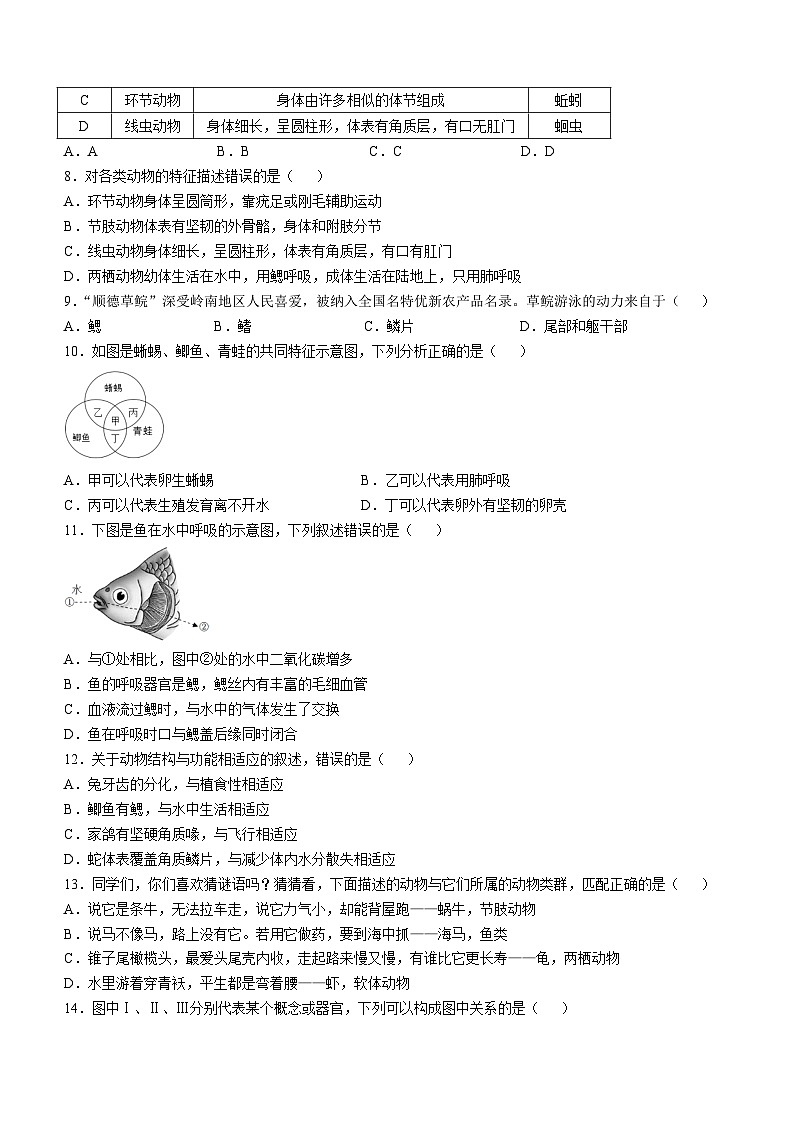 广东省佛山市顺德区容桂街道2024-2025学年八年级上学期期中生物学试题02