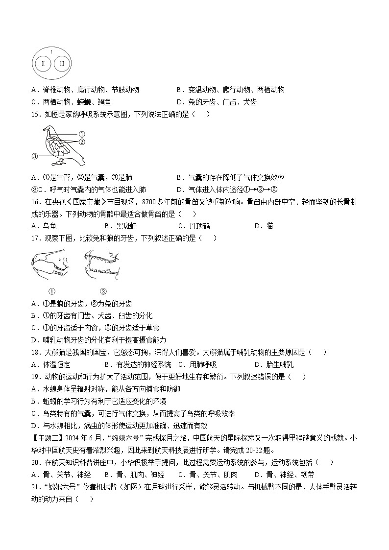 广东省佛山市顺德区容桂街道2024-2025学年八年级上学期期中生物学试题03