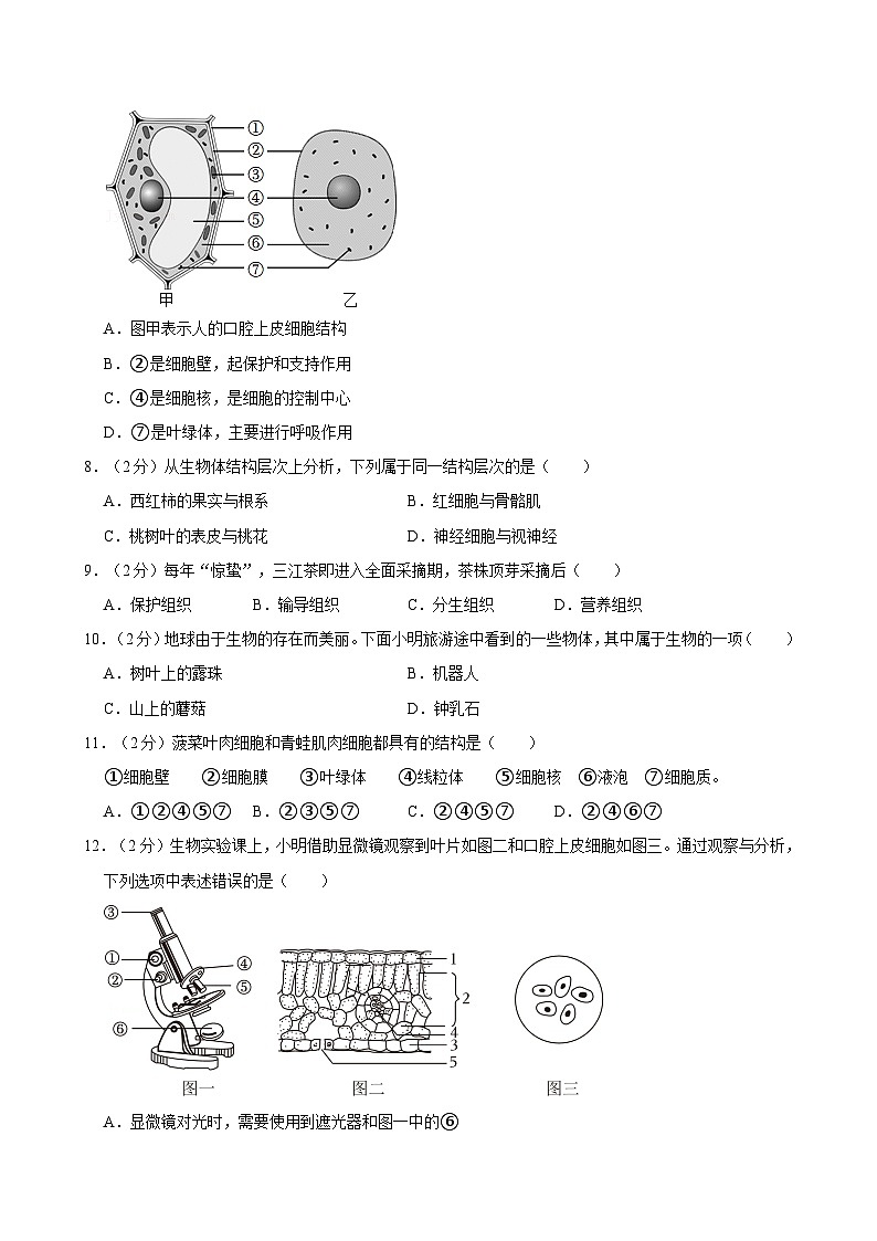福建省厦门外国语学校2024-2025学年七年级上学期期中考试生物试卷第2页