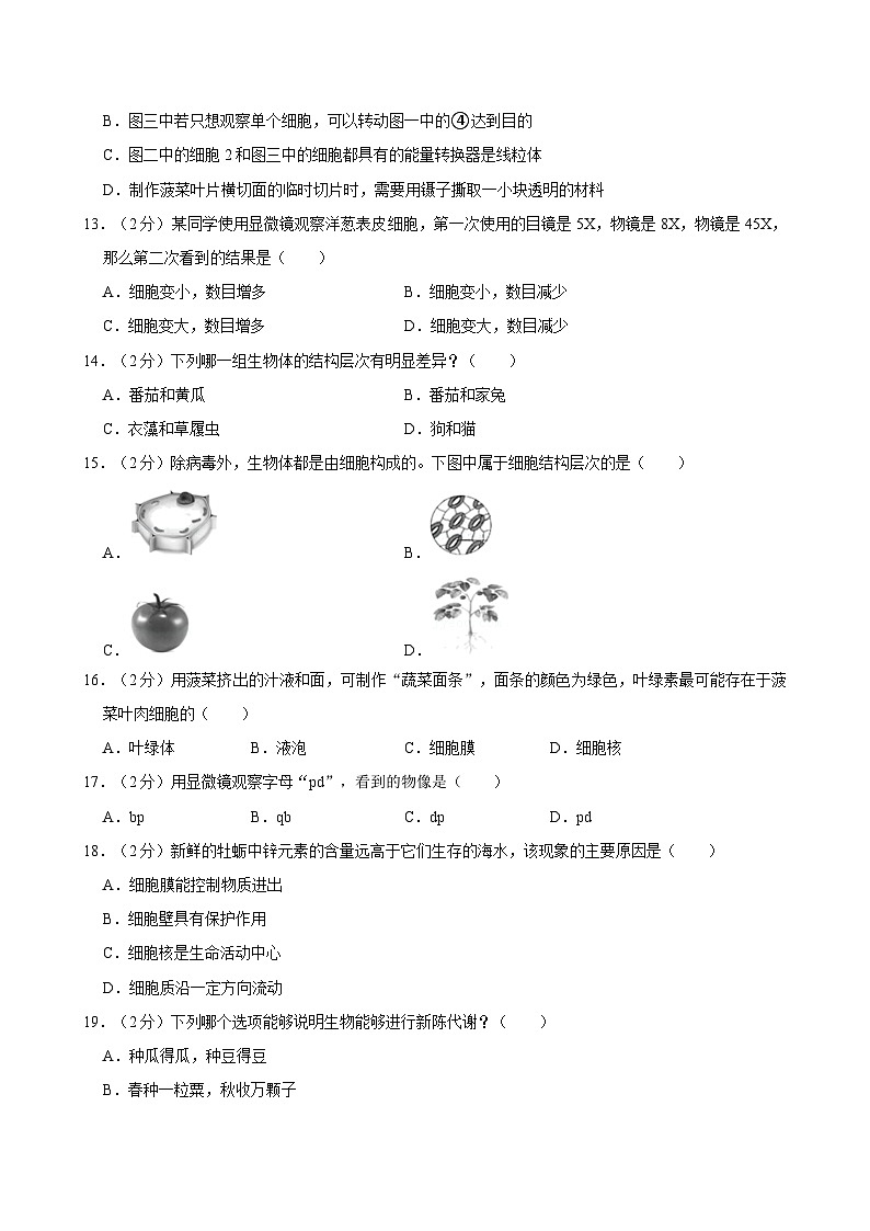 福建省厦门外国语学校2024-2025学年七年级上学期期中考试生物试卷第3页