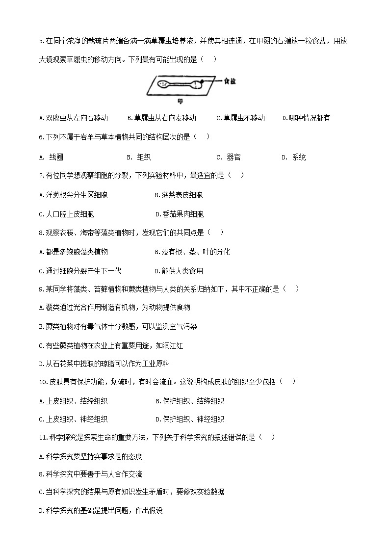 辽宁省沈阳市第一三四中学2024-2025学年七年级上学期期中考试生物试题第2页