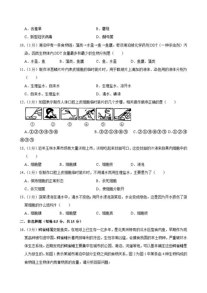 江苏省南通市海安市13校2024-2025学年联考七年级上学期期中生物试卷第2页