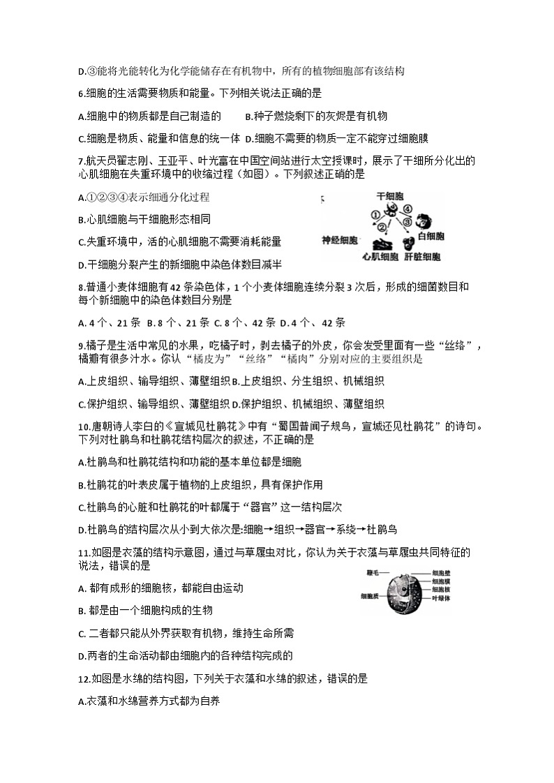 四川省德阳市中江县2024-2025学年七年级上学期11月期中考试生物试题第2页