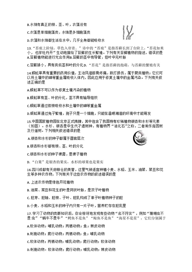 四川省德阳市中江县2024-2025学年七年级上学期11月期中考试生物试题第3页