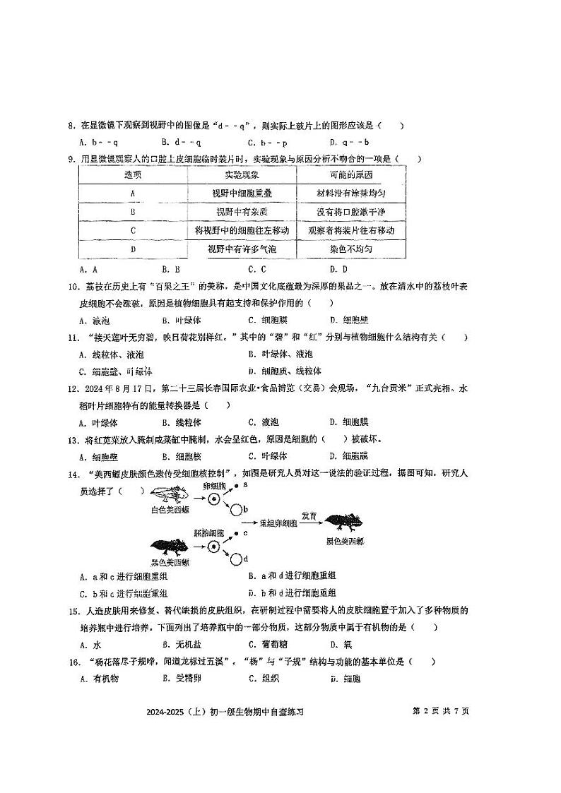 广东省东莞市厚街海月学校2024-2025学年七年级上学期期中考试生物试题02