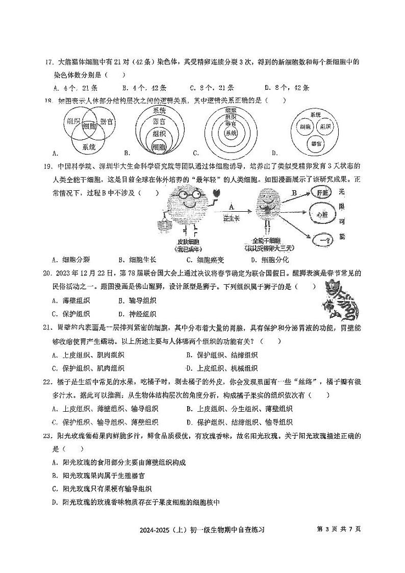 广东省东莞市厚街海月学校2024-2025学年七年级上学期期中考试生物试题03