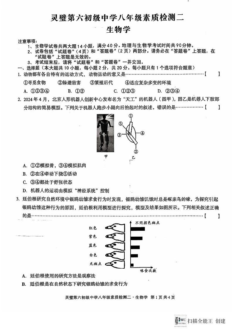 安徽省宿州市灵璧县第六中学2024-2025学年八年级上学期期中素质检测生物试卷第1页