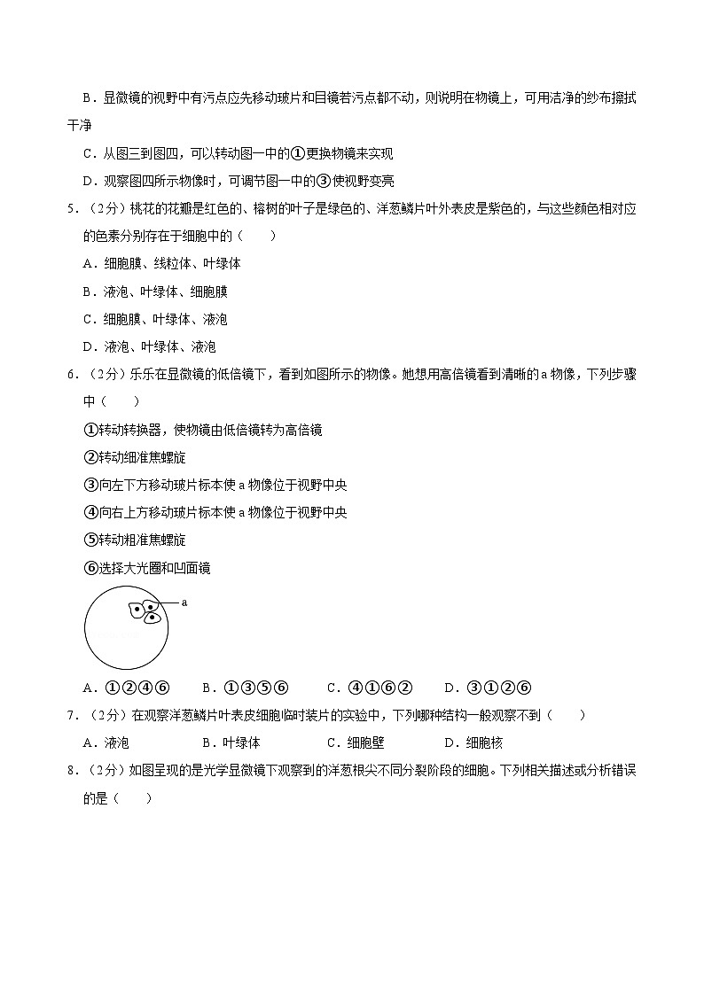 内蒙古包头市昆都仑区第三中学2024-2025学年七年级上学期期中考试生物试卷第2页