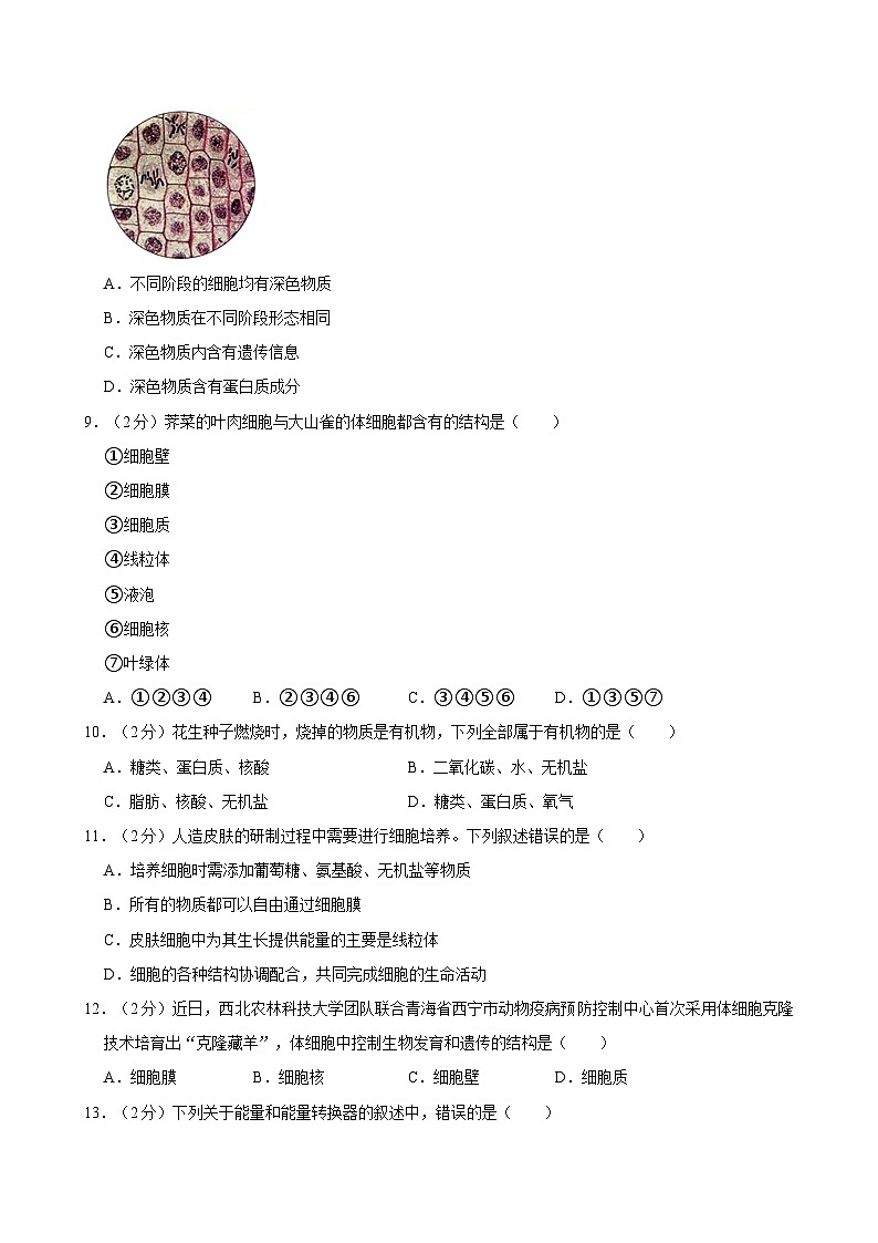 内蒙古包头市昆都仑区第三中学2024-2025学年七年级上学期期中考试生物试卷第3页