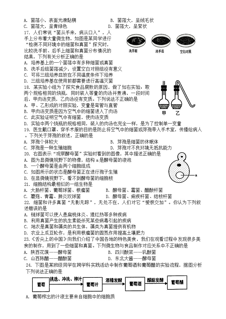 湖南省娄底市涟源市2024-2025学年八年级上学期11月期中生物试题第3页