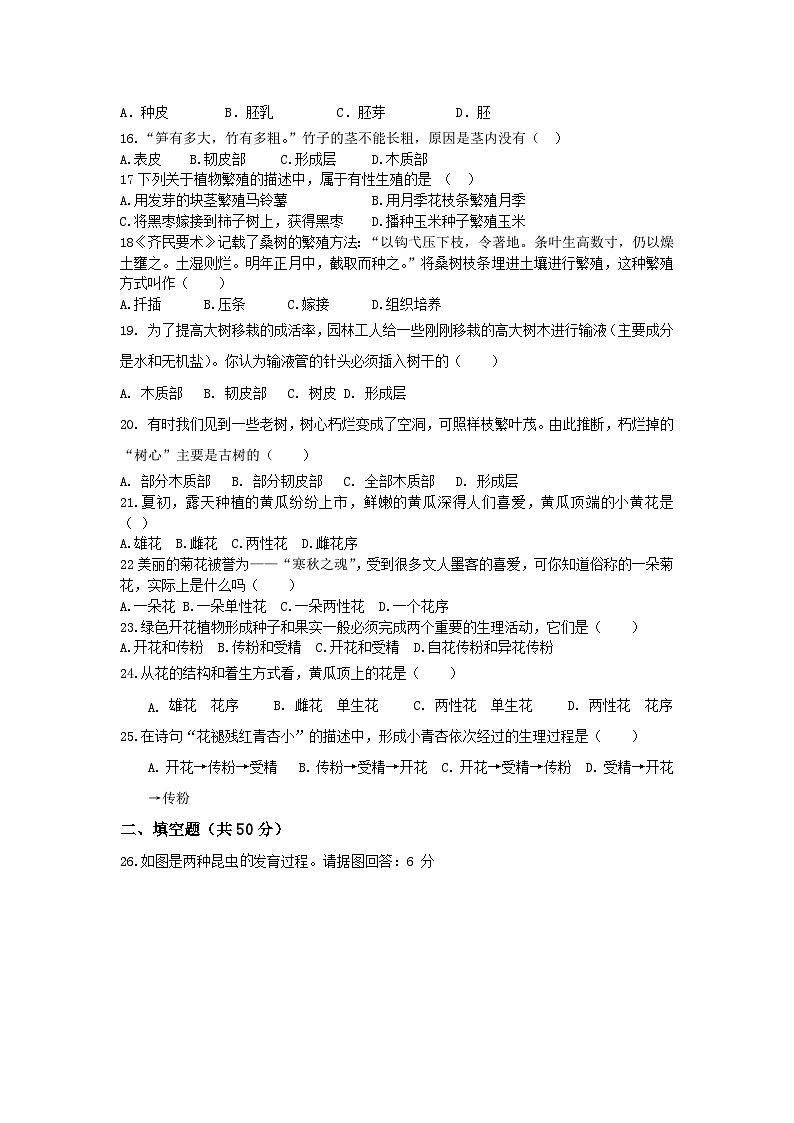 山东省齐河县安头乡中学2024—2025学年八年级上学期生物期中测试题第3页