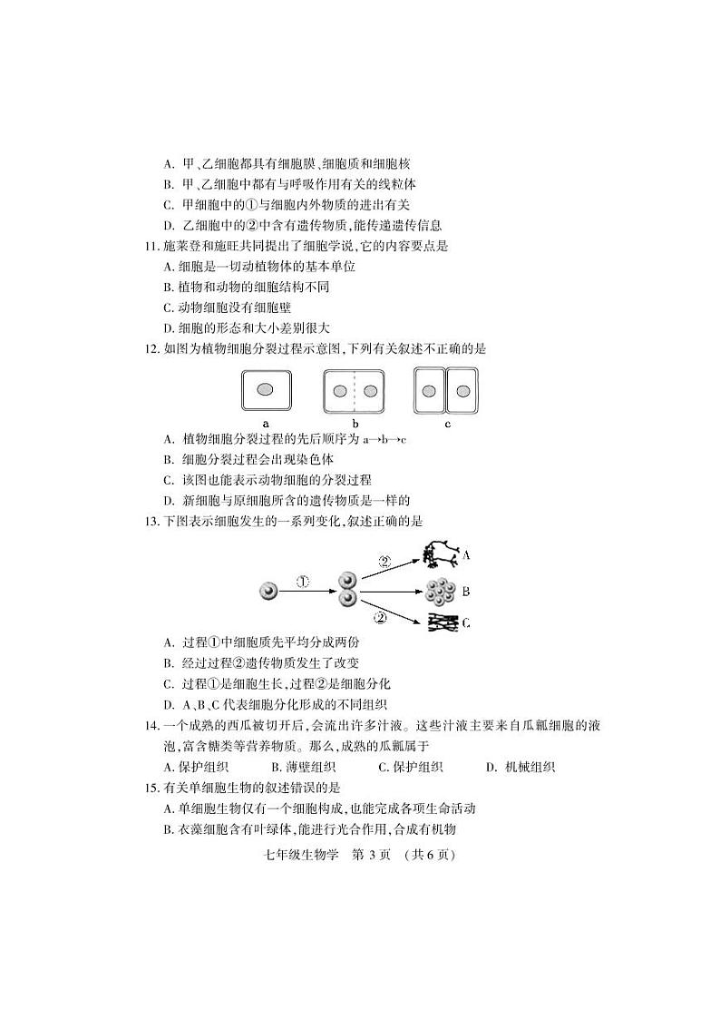七年级生物学试卷第3页