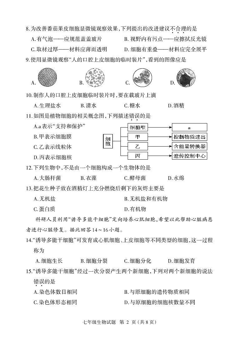 （教研室提供）福建省三明市大田县2024-2025学年七年级上学期期中考试生物试题第2页