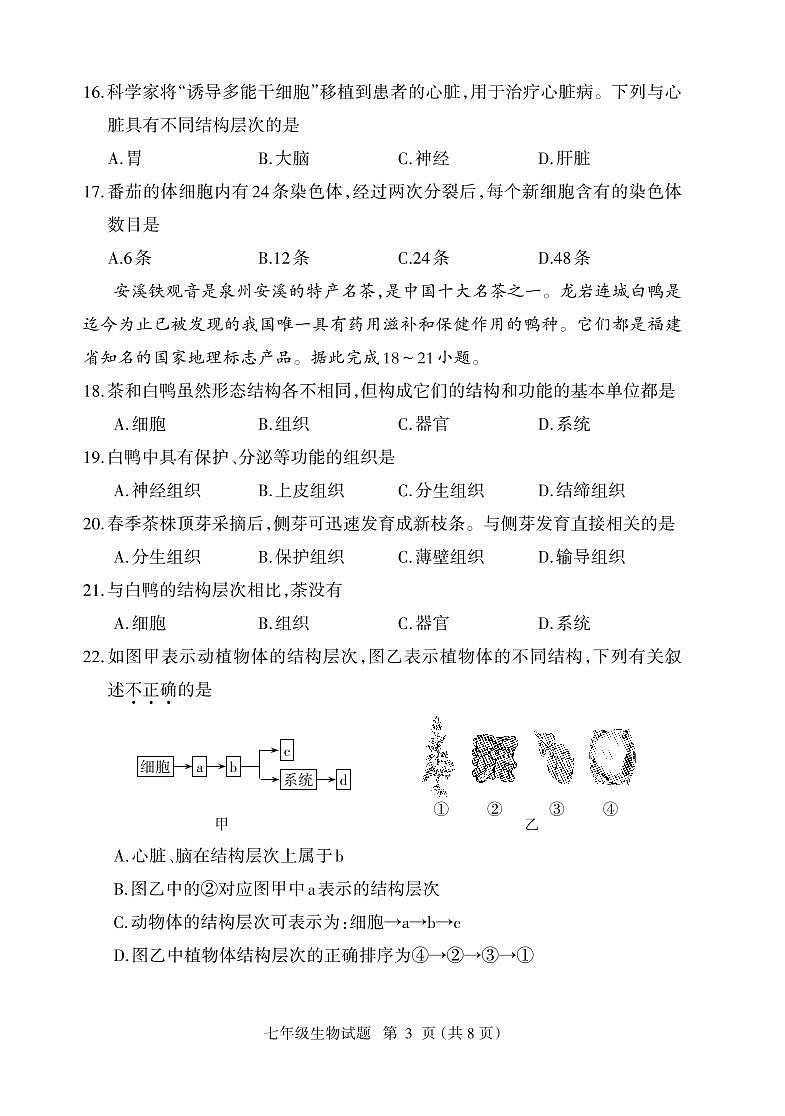 （教研室提供）福建省三明市大田县2024-2025学年七年级上学期期中考试生物试题第3页