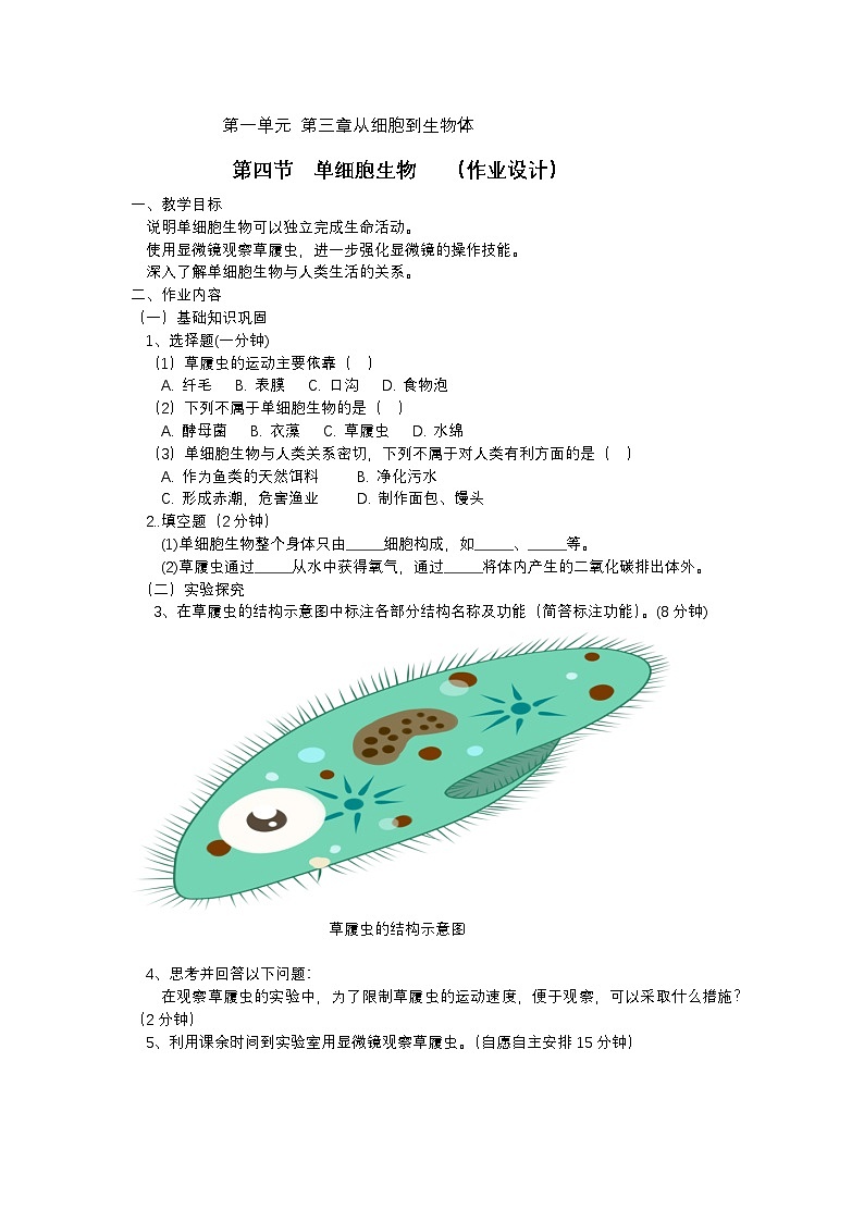 1.3.4++单细胞生物++作业设计-2024-2025学年人教版生物七年级上册 (1)(1)第1页