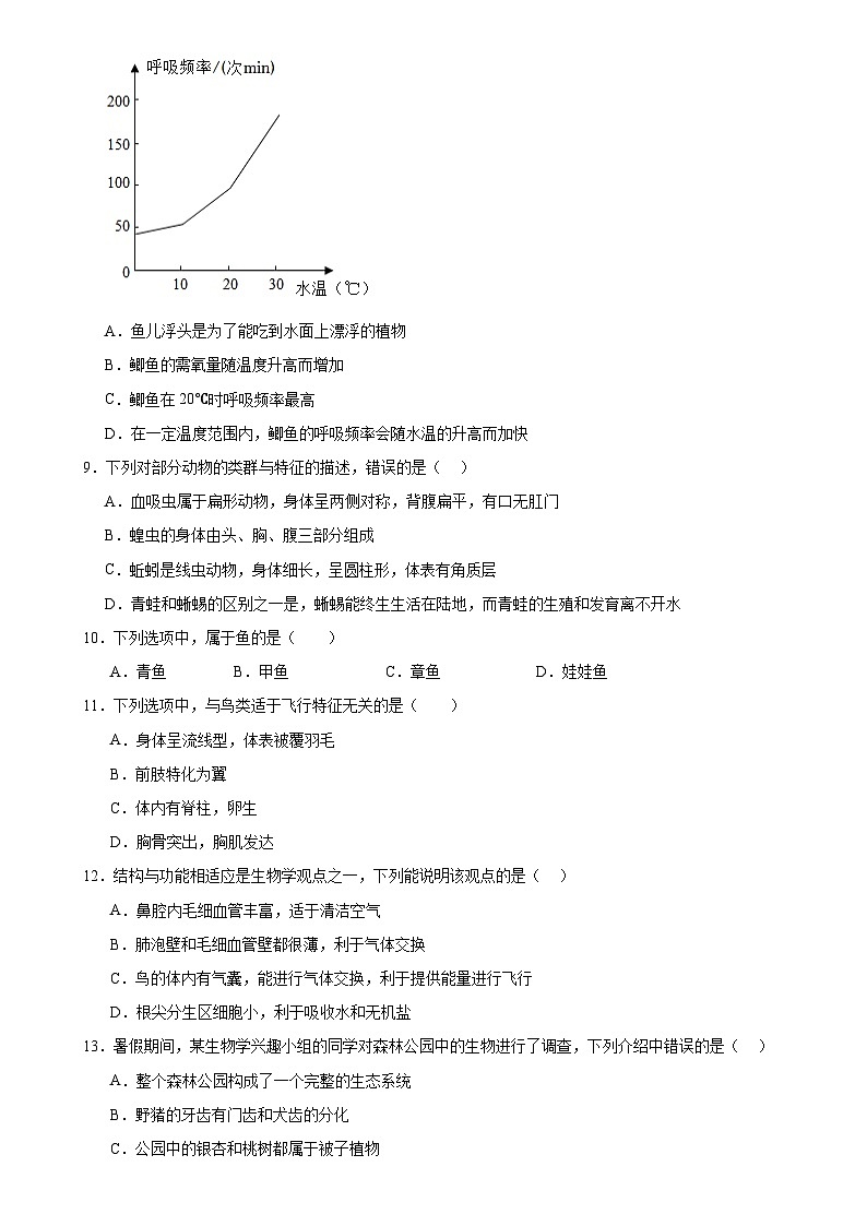 广东省深圳市宝安区振兴学校2024-2025学年八年级上学期期中生物试题第2页