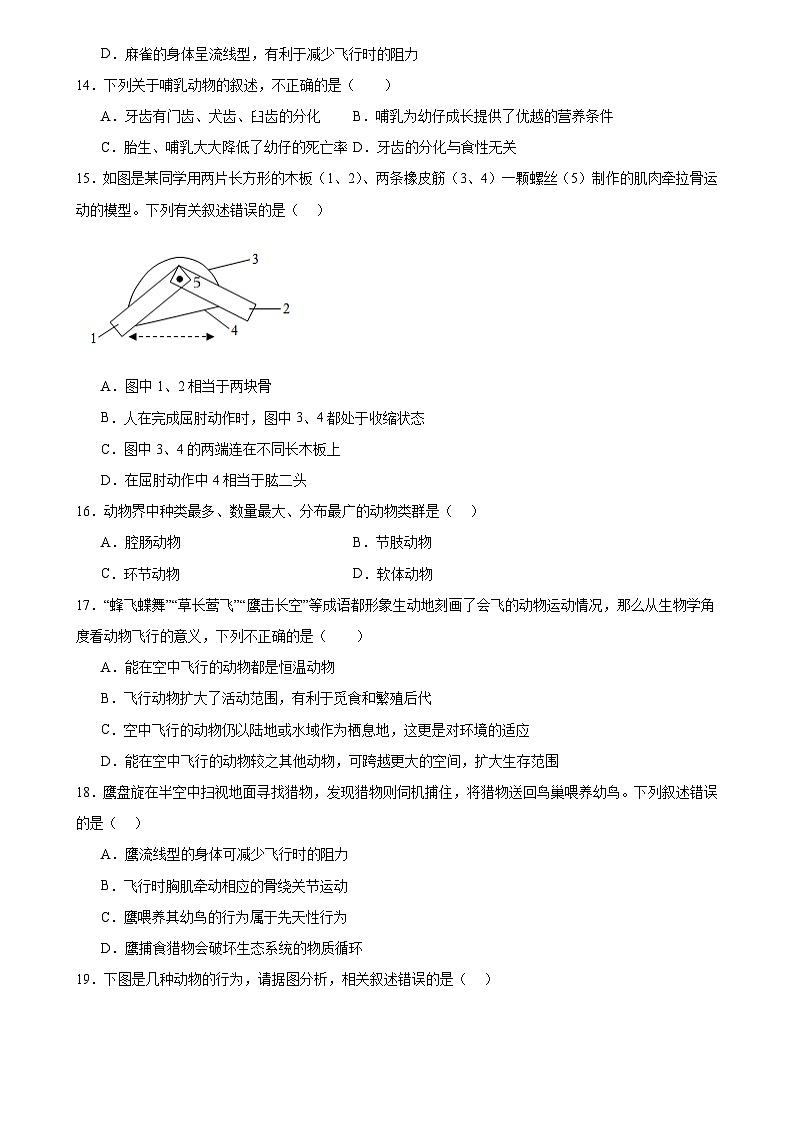 广东省深圳市宝安区振兴学校2024-2025学年八年级上学期期中生物试题第3页