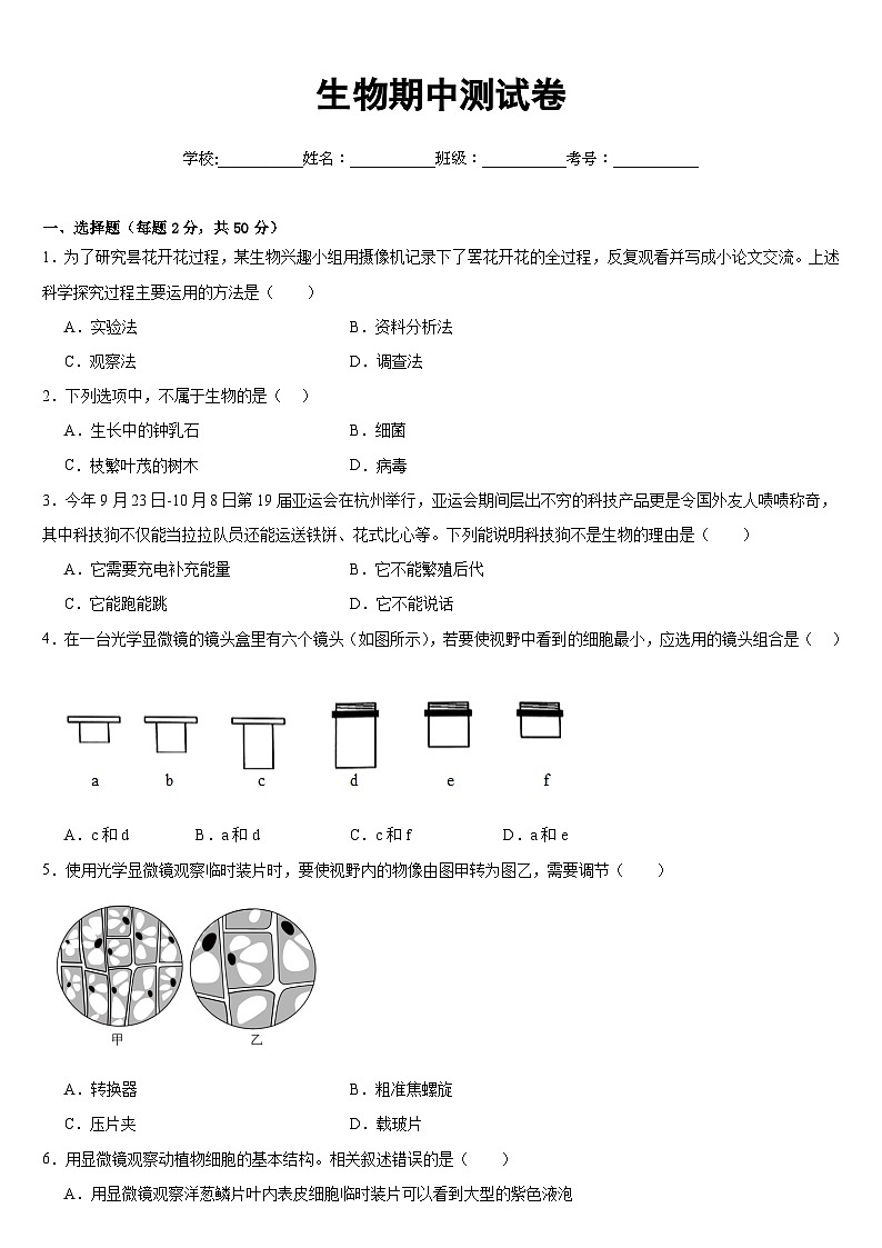 广东省深圳市宝安区振兴学校2024-2025学年七年级上学期期中生物试题01