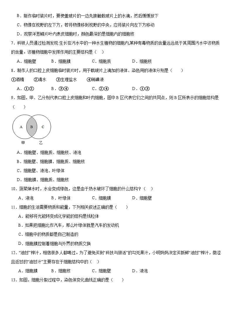 广东省深圳市宝安区振兴学校2024-2025学年七年级上学期期中生物试题02