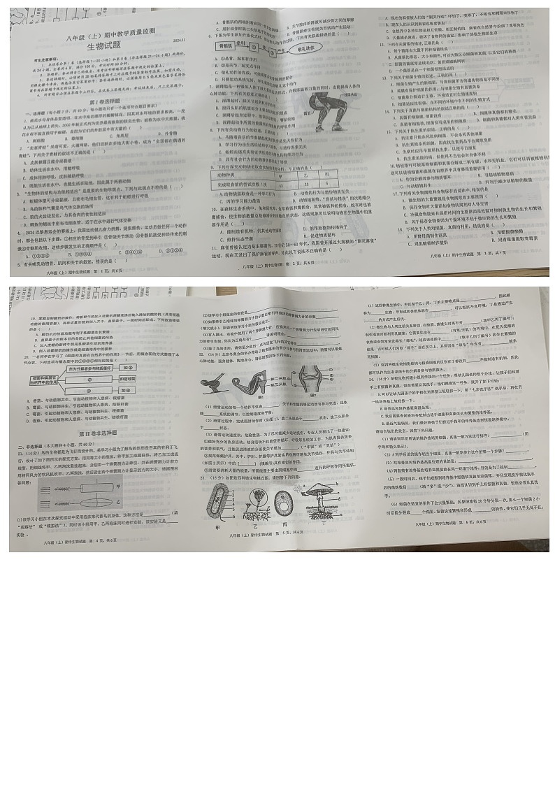 四川省眉山市洪雅县2023-2024学年八年级上学期生物期中试题第1页
