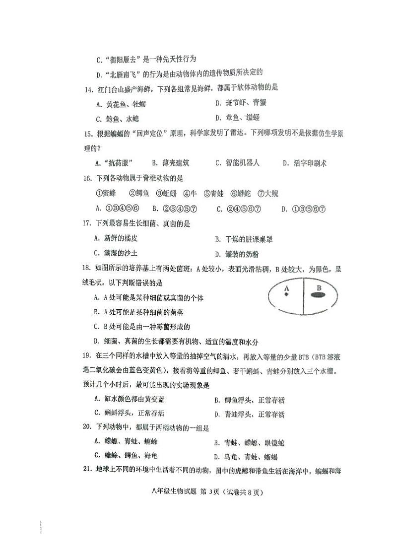 广东省江门市第二中学2024-2025学年八年级上学期10月期中生物试题第3页