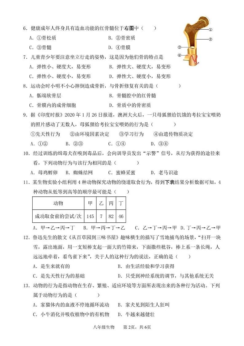 广东省韶关市新丰县2024-2025学年八年级上学期期中考试生物试题第2页