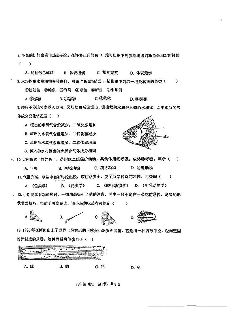 广西柳州市柳北区2024-2025学年八年级上学期期中生物试题02