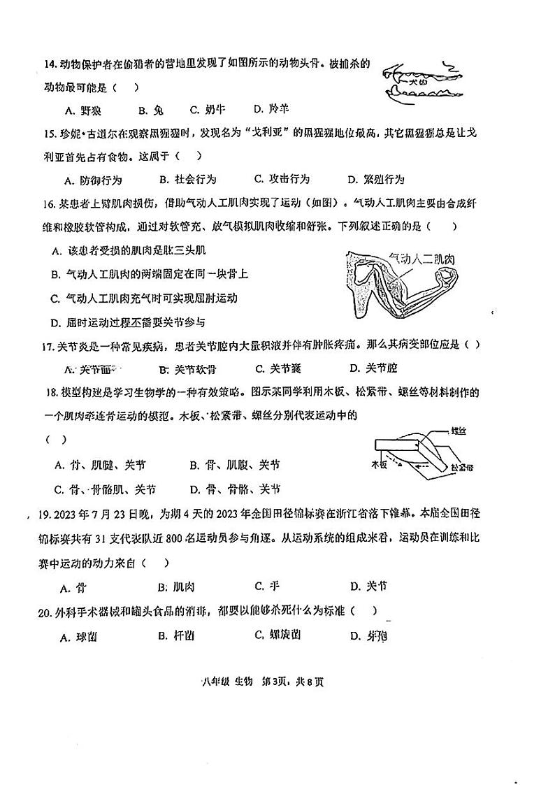 广西柳州市柳北区2024-2025学年八年级上学期期中生物试题03