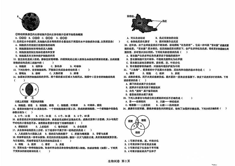 河南省郑州市二七区郑州四中教育集团2024-2025学年七年级上学期11月期中生物试题第2页