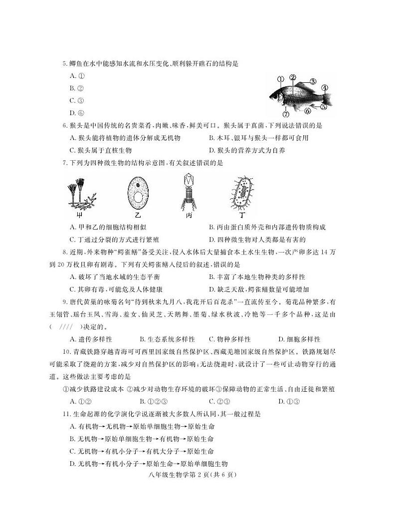 河南省舞钢市2024-2025学年八年级上学期期中调研生物试题第2页