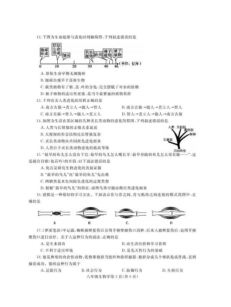 河南省舞钢市2024-2025学年八年级上学期期中调研生物试题第3页