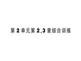 初中生物新北师大版七年级上册第2单元第2、3章综合训练作业课件（2024秋）