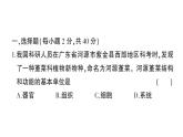 初中生物新北师大版七年级上册第2单元第2、3章综合训练作业课件（2024秋）