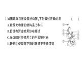 初中生物新北师大版七年级上册第2单元第2、3章综合训练作业课件（2024秋）