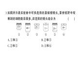 初中生物新北师大版七年级上册第2单元第2、3章综合训练作业课件（2024秋）