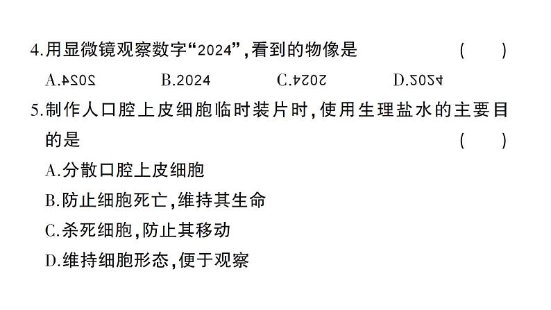 初中生物新北师大版七年级上册第2单元第2、3章综合训练作业课件（2024秋）第5页
