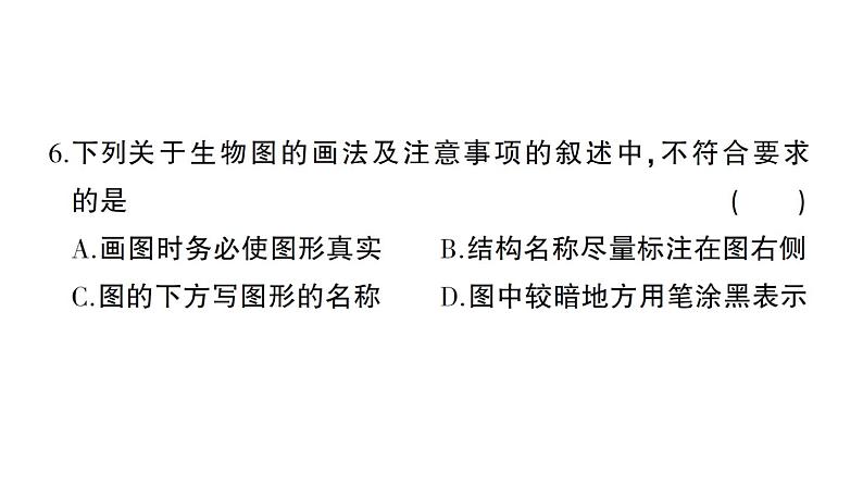 初中生物新北师大版七年级上册第2单元第2、3章综合训练作业课件（2024秋）第6页