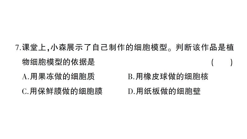 初中生物新北师大版七年级上册第2单元第2、3章综合训练作业课件（2024秋）第7页