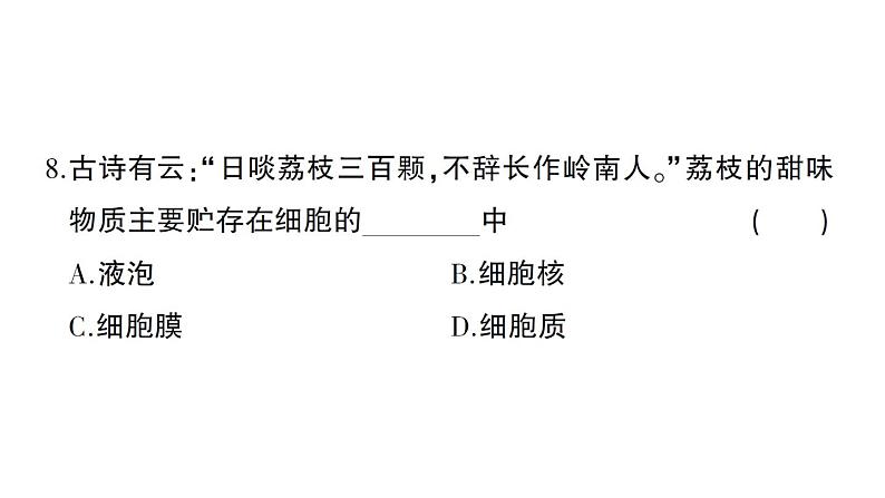 初中生物新北师大版七年级上册第2单元第2、3章综合训练作业课件（2024秋）第8页