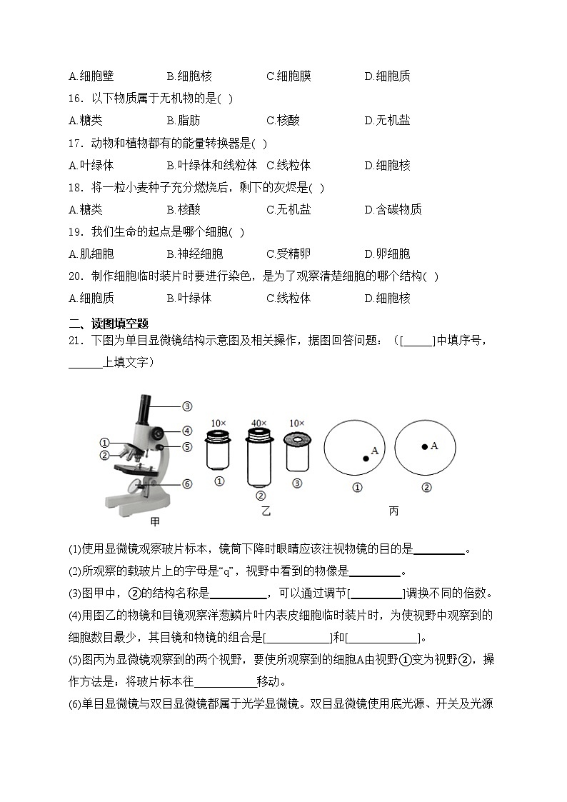 河南省驻马店市泌阳县光亚学校、致远学校2024-2025学年七年级上学期10月月考生物试卷(含答案)第3页
