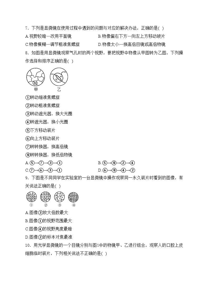 山东省滨州市博兴县2024-2025学年七年级上学期11月期中考试生物试卷(含答案)第2页