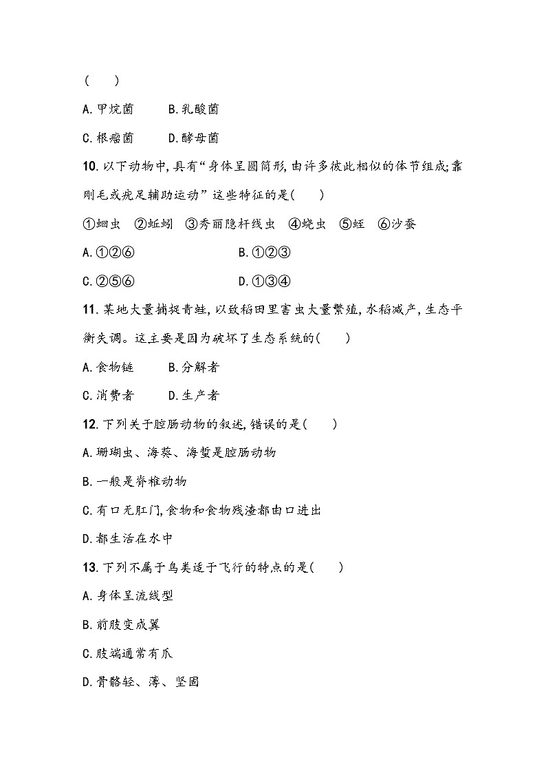 2025年生物中考一轮复习：人教版八年级上册第5单元《生物圈中的其他生物》单元测试卷（含答案）第3页